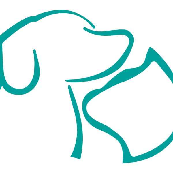 ultrasound logo 170